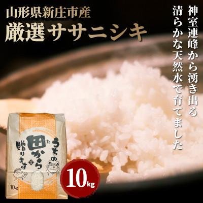 ふるさと納税 新庄市 令和7年 厳選ササニシキ(精米)10kg