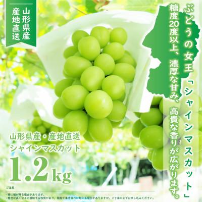 オンラインストア直営店 ふるさと納税 山形県 【先行受付(令和6年度発送)】山形県産 シャインマスカット　1.2kg(1-2房)