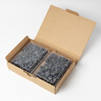 ふるさと納税 佐倉市 【大粒】冷凍ブルーベリー1kg(500g×2パック