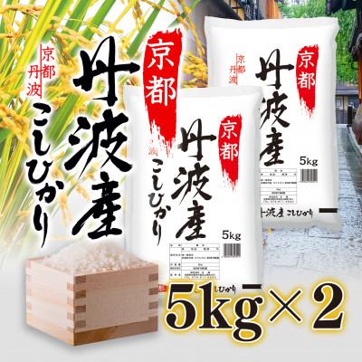 ふるさと納税 綾部市 [ふるさと納税 綾部市]京都丹波産こしひかり 5kg×2 計10kg ※精米したてをお届け!