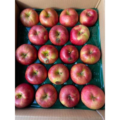 ふるさと納税 青森市 [令和6年10月中旬頃発送開始]青森りんご家庭用「葉とらずシナノスイート」約5kg