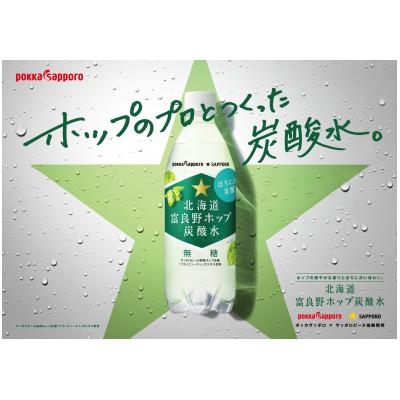 ふるさと納税 上富良野町 北海道富良野ホップ炭酸水 グリーンシャワー 500ml×24本入