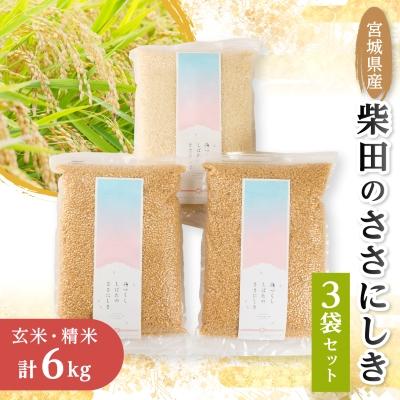 ふるさと納税 柴田町 柴田のささにしき詰め合わせセット6kg