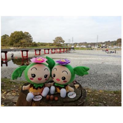 ふるさと納税 東松山市 東松山市キャラクター まっくん・あゆみんぬいぐるみセット