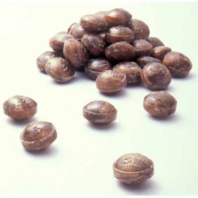 【日本未発売】 ふるさと納税 那智勝浦町 黒あめ那智黒170g×100袋 【MYK1640773403】(59800円)