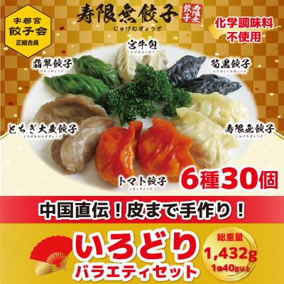 ふるさと納税 宇都宮市 宇都宮餃子 寿限無 餃子のいろどりバラエティセット(6種30個)