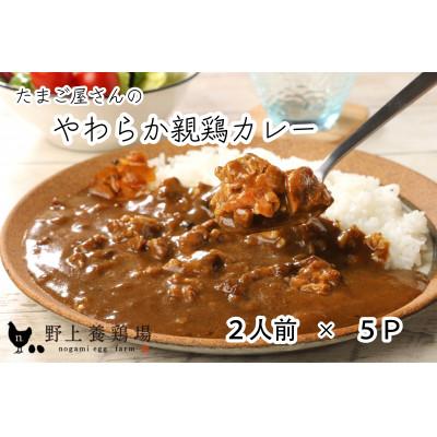 ふるさと納税 鞍手町 たまご屋さんのやわらか親鶏カレー(2人前×5P) 野上養鶏場 味宝卵