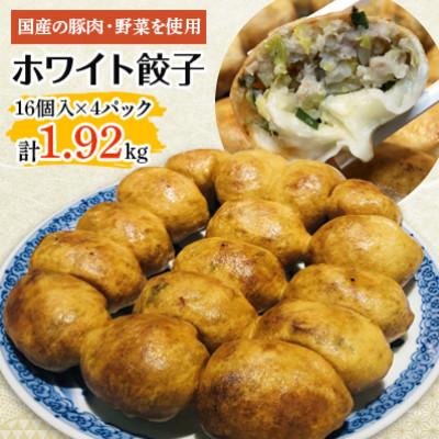 ふるさと納税 静岡市 ホワイト餃子 冷凍(16個入り×4パック)