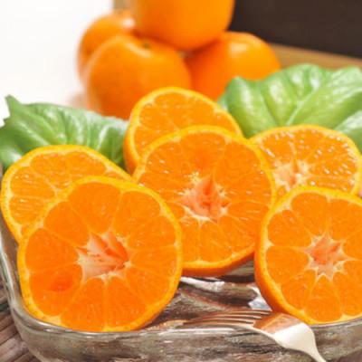 ふるさと納税 広川町 [出荷中]有田育ちの濃厚ポンカン(ご家庭用) 3kg