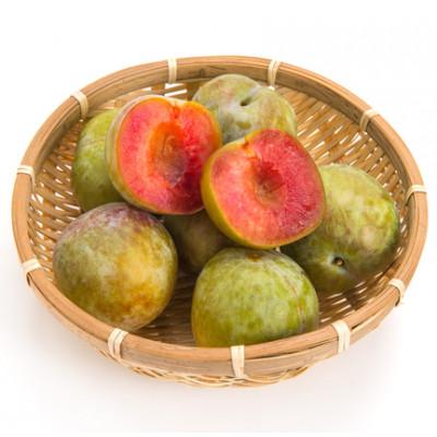 ふるさと納税 南アルプス市 すももソルダム大玉2L~4L 約1.2kg(9〜12玉)