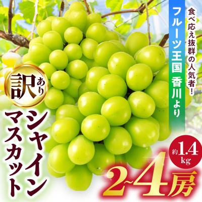 ふるさと納税 三木町 訳ありシャインマスカット 約1.4kg