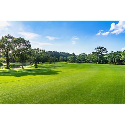 ⭐️完成品⭐️ ふるさと納税 茂原市 真名カントリークラブ利用券(3，000円分×20枚) 【LWH3018143516】(110000円)