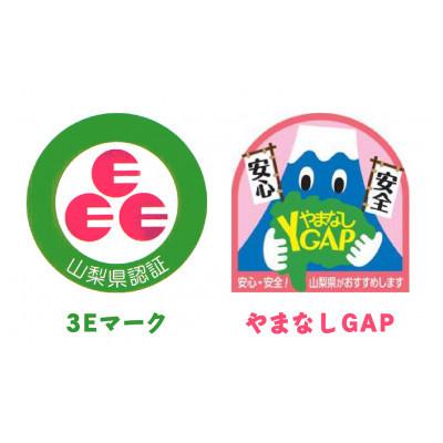 ふるさと納税 笛吹市 シャインマスカット　約1.2kg以上(2〜3房入)朝採り産地直送｜y-sf｜04