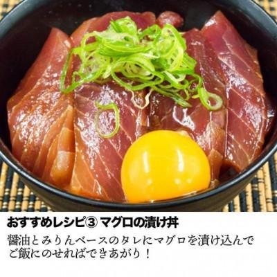 ふるさと納税 土佐市 正規品 キハダマグロ 800g 【5635380】|y-sf|03