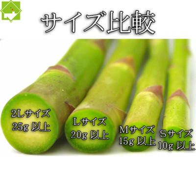 ふるさと納税 富良野市 2027年先行予約　生で食べられるアスパラ 北海道富良野産 グリーンアスパラ Mサイズ 2kg_2