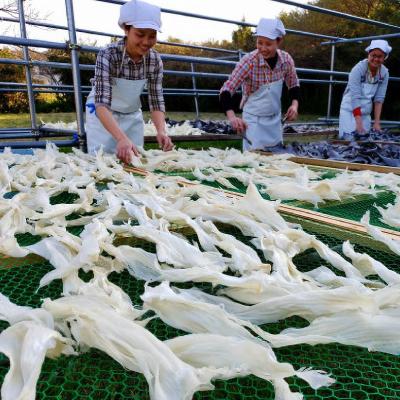 ふるさと納税 館山市 フカヒレ煮込(オイスター味)140g×3袋｜y-sf｜02