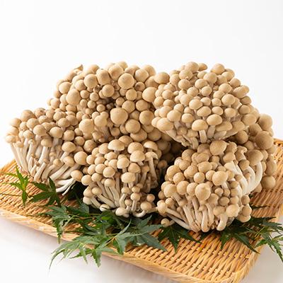 ふるさと納税 長瀞町 ぶなしめじ 2kg : さとふる - 通販 - Yahoo