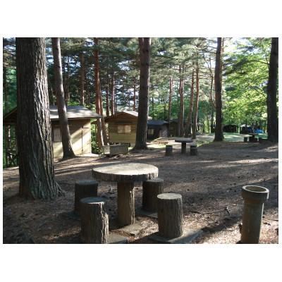 ふるさと納税 辰野町 天然記念物のもとでキャンプ&amp;BBQ!(10名まで)
