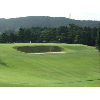 ふるさと納税 唐津市 唐津ゴルフ結社 週日夕めし付掻き鳴らす券