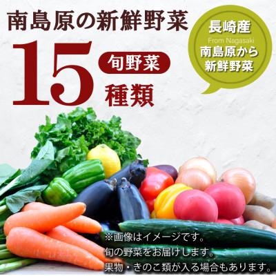 ふるさと納税 南島原市 旬の野菜おまかせ15種セット 産地直送の新鮮詰合せ