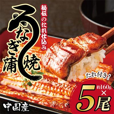 ふるさと納税 泉佐野市 秘伝のたれ仕込み うなぎ蒲焼 (約160g×5尾)鰻 ウナギ 中国産 炭火焼き備長炭kgp0020