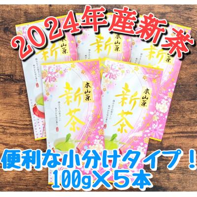 ふるさと納税 静岡市 [新茶]静岡市産ほんやま茶 100g×5袋セット(合計500g)