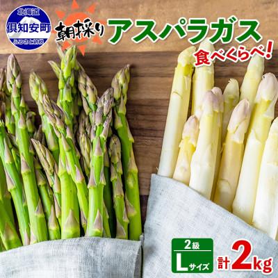 ふるさと納税 倶知安町 2026年 先行受付 北海道 アスパラガス ホワイト グリーン(2級L)食べ比べセット 計2kg前後