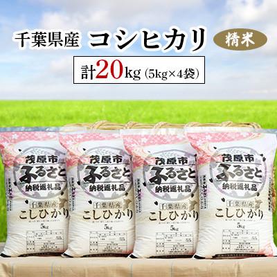 日本限定 ふるさと納税 茂原市 令和3年産 千葉県産コシヒカリ 精米 kg 5kg 4袋