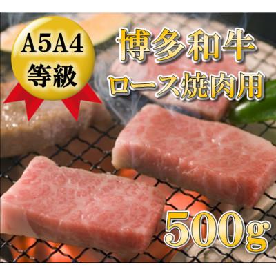 ふるさと納税 大任町 [A5A4等級使用]博多和牛ロース焼肉用500g(大任町)