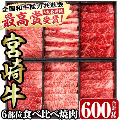 ふるさと納税 門川町 [宮崎牛・3D冷凍]6部位食べ比べ焼肉(合計600g)(門川町)