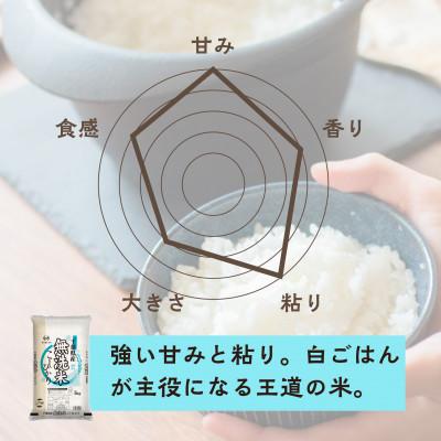ふるさと納税 大網白里市 【令和7年産】2年連続特A評価! 千葉県産