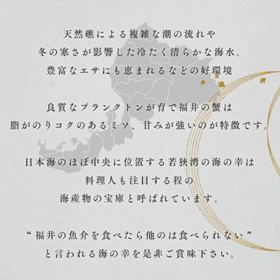 ふるさと納税 若狭町 【さとふる限定】茹で「越前ガニ」期間限定 食通もうなる本場の味です。 1kg以上×3杯の画像