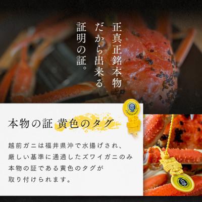 ふるさと納税 若狭町 【さとふる限定】茹で「越前ガニ」期間限定 食通もうなる本場の味です。 1kg以上×3杯の画像