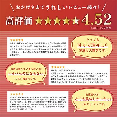 春の新作 ふるさと納税 山梨市 【2024年先行受付】農園直送!濃厚シャインマスカット　約1kg(1〜2房入り) ふるさと納税