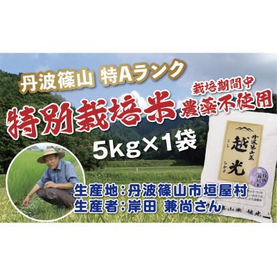 ふるさと納税 丹波篠山市 丹波篠山産　特別栽培米　越光(栽培期間中農薬不使用)(5kg×1袋　精米)｜y-sf