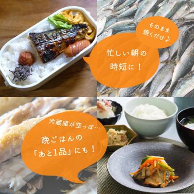 ふるさと納税 那智勝浦町 大容量!国産塩さばフィレ3.5kg|y-sf|03