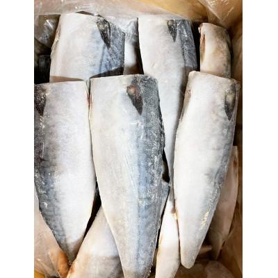 ふるさと納税 那智勝浦町 大容量!国産塩さばフィレ3.5kg|y-sf|04