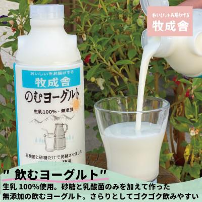 ふるさと納税 飛騨市 飛騨のヨーグルトバラエティーセット|y-sf|02
