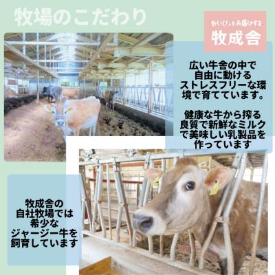 ふるさと納税 飛騨市 飛騨のヨーグルトバラエティーセット｜y-sf｜04