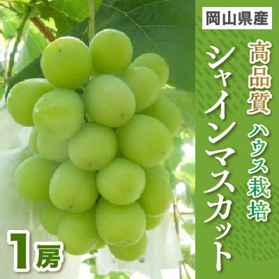ふるさと納税 玉野市 高品質ハウス栽培シャインマスカット1房入り