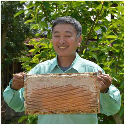 ふるさと納税 羽咋市 能登産天然はちみつ『アカシア蜂蜜3本』セット 