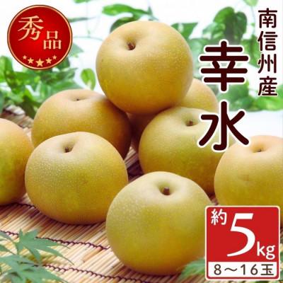 ふるさと納税 高森町 2026年発送[南信州産] 幸水 約5kg 秀品 &lt;8月中旬~順次発送&gt;