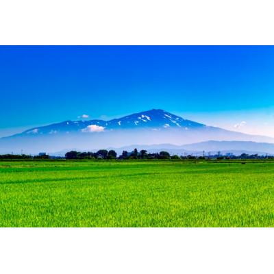 ふるさと納税 酒田市 出羽冨士 鳥海山天然水使用 「アクティブチャコール ウォーター」 490ml×24本の画像