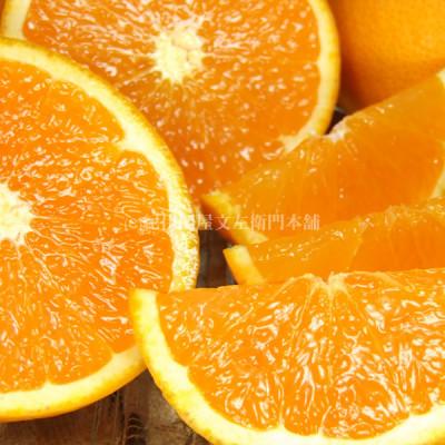 ふるさと納税 美浜町 清見オレンジ[約6kg]湯浅町田村産 春みかん(果実サイズおまかせ)