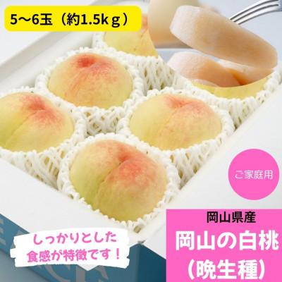 ふるさと納税 浅口市 [2026年発送]ご家庭用 岡山の白桃(晩生種)約1.5kg