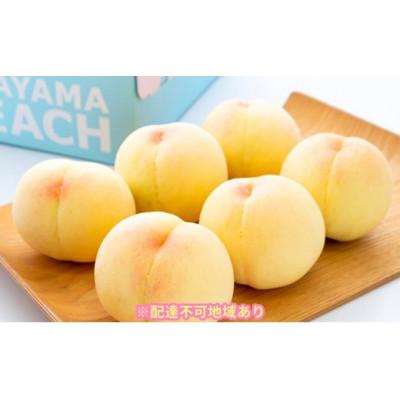 ふるさと納税 2021新発 里庄町 ご家庭用 約1.3kg 岡山の白桃 人気商品の 早生種