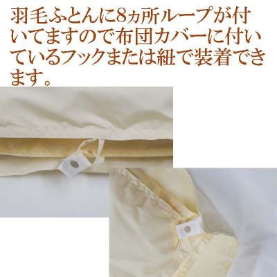 ふるさと納税 都留市 羽毛合い掛け 肌布団シングル2枚組ポーランド産マザーグース93%150×210cmdp440の画像