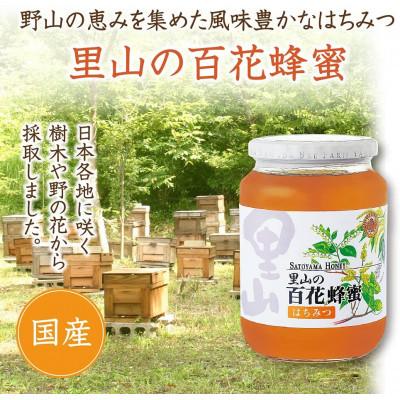 ふるさと納税 津山市 里山の百花蜂蜜 1kgビン入(3595)の画像