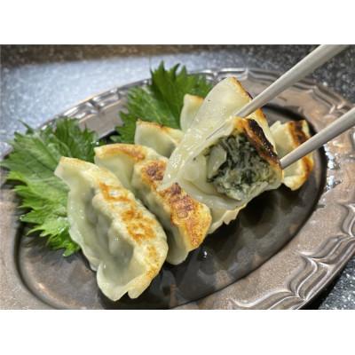 ふるさと納税 行方市 茨城県産銘柄豚ローズポーク使用 しそたっぷり「肉餃子」2袋セット