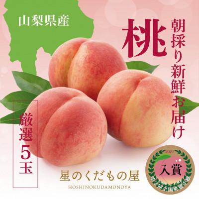 ふるさと納税 笛吹市 [2026年発送]星のくだもの屋 山梨県産「厳選桃」5玉(1.5kg以上)
